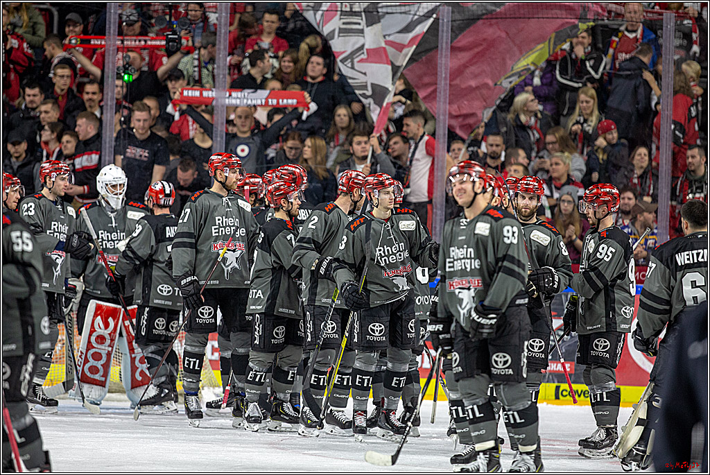 DEL; Koelner Haie - Augsburger Panther, 14.11.2018